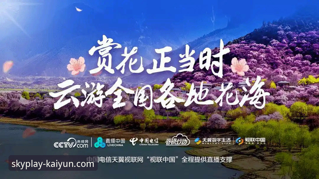 云开体育手机App vs 网页端：哪个才是观看直播的更好选择？